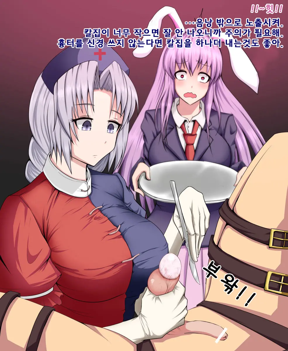 Eirin To Udonge No Kyousei Kougan Tekishutsu Shujutsu L 에이린과 우동게의 강제 고환 적출 수술